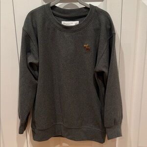 Abercrombie Kids Dark Gray Crewneck Sweater